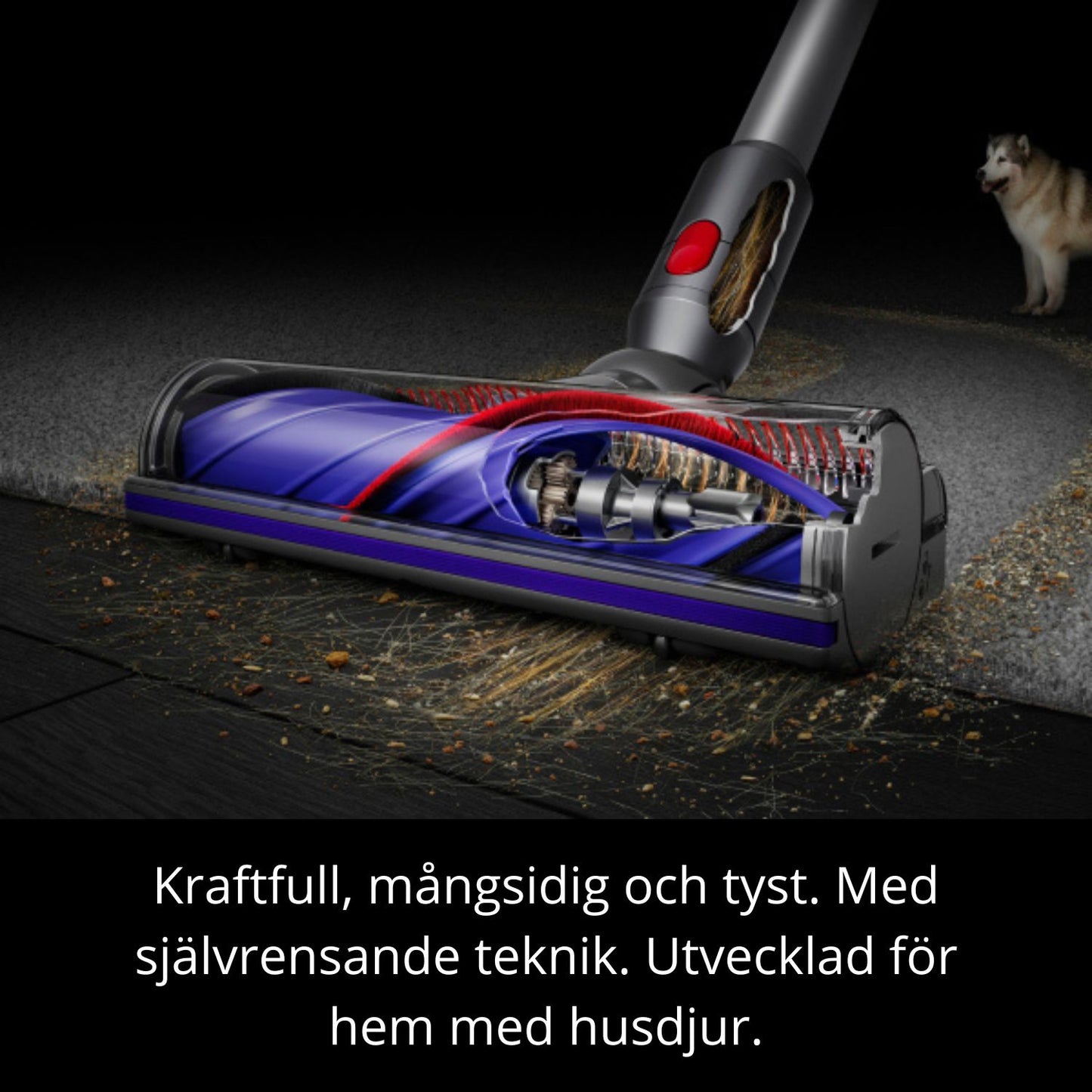 Dyson V8™ dammsugare